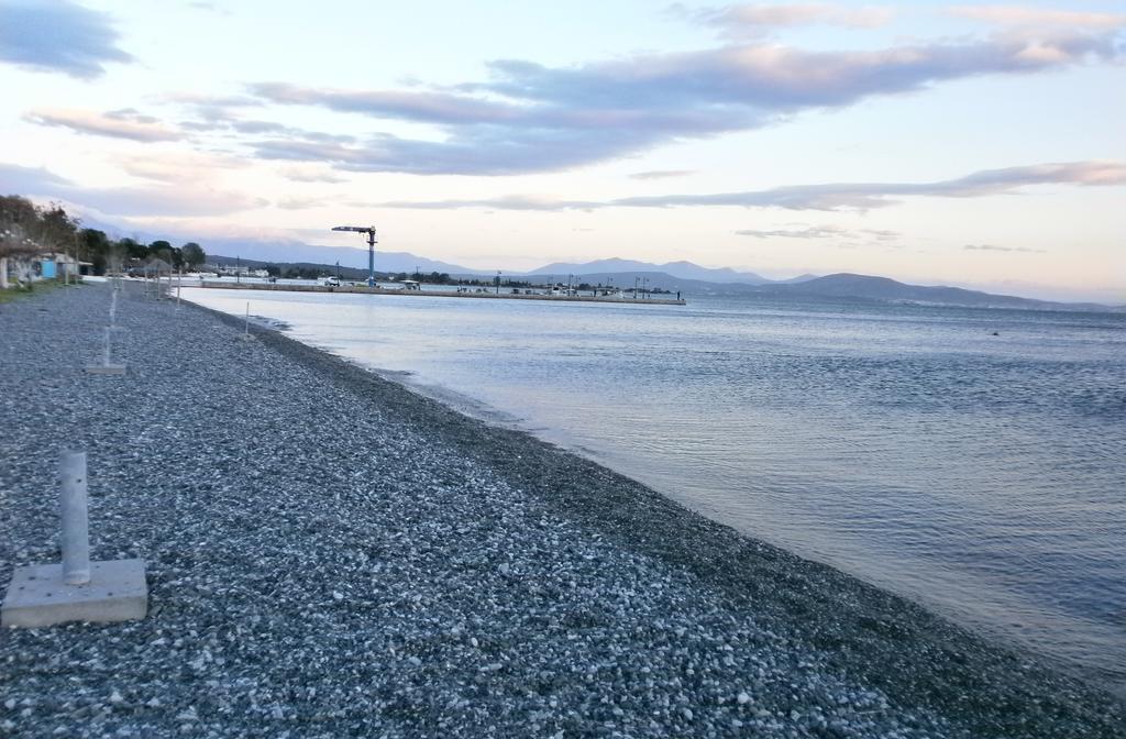 Artemis - Marina Apartments Evia الغرفة الصورة