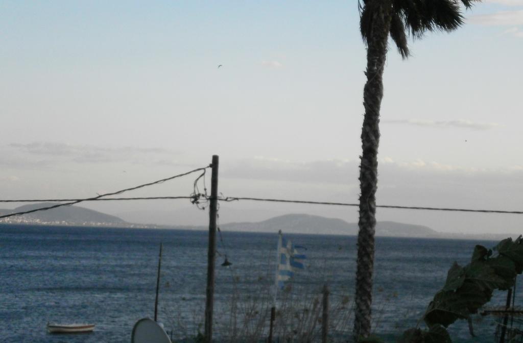 Artemis - Marina Apartments Evia الغرفة الصورة