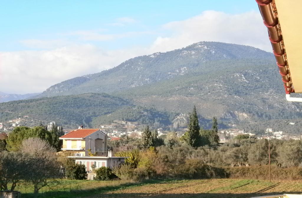 Artemis - Marina Apartments Evia الغرفة الصورة